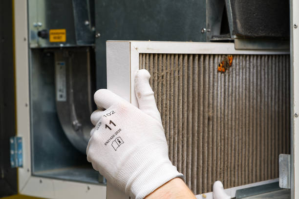 Best Ductwork Cleaning Services  in Hart, MI